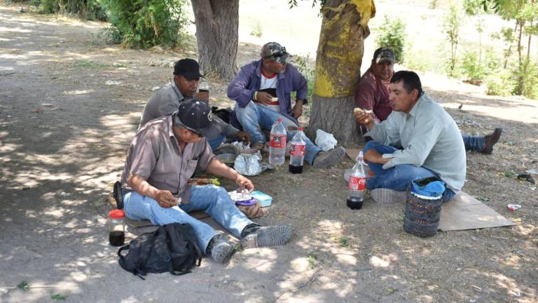 Los trabajadores agrícolas continúan trabajando a pesar de las altas temperaturas.