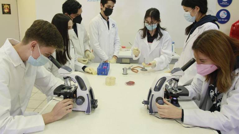 Los alumnos realizan prácticas en un espacio equipado con todo lo necesario para la capacitación como Laboratorista Clínico.