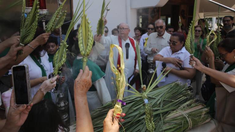 Las palmas fueron bendecidas por el Padre Horacio Hernández.