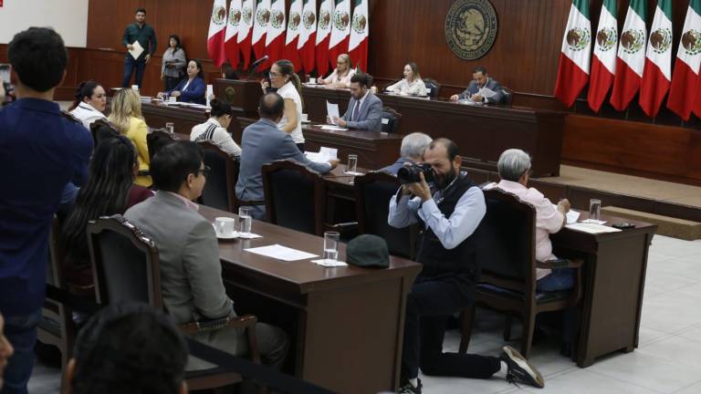 Entre las sanciones planteadas van de seis a 12 años de prisión y de 700 a mil días de multa.