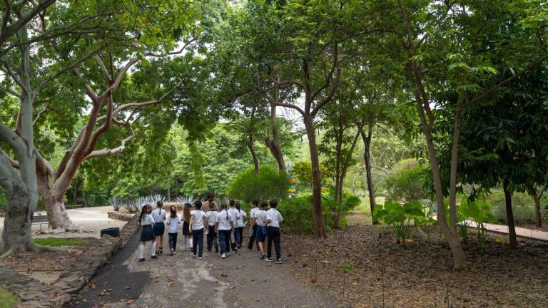 El Viaje Botánico que busca inspirar a estudiantes de escuelas públicas a acercarse a la naturaleza.