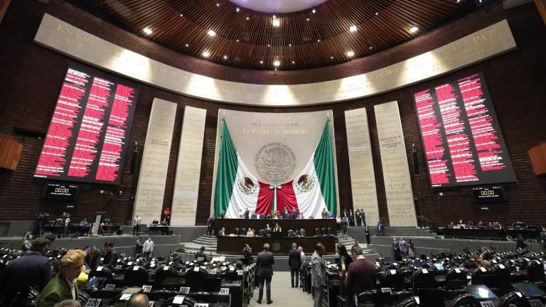 La votación registró 325 sufragios a favor, 114 en contra y una abstención.