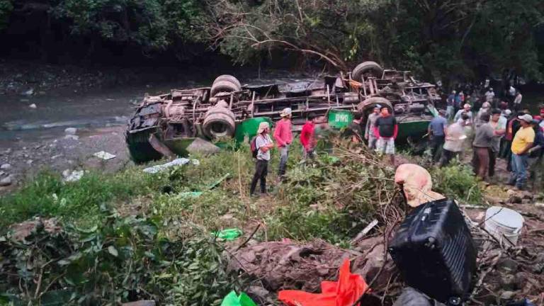 Autoridades y voluntarios participaron en las labores de rescate tras la volcadura de un autobús en la región de la Sierra de Huayacocotla, en Veracruz.