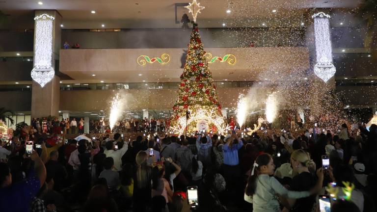 Cientos de personas estuvieron presentes en el encendido del árbol navideño de 15 metros.
