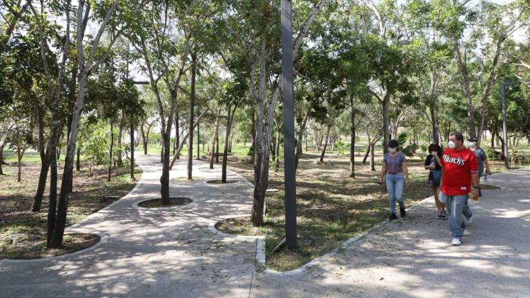 El Parque Central de Mazatlán se edificó sobre lo que era el Bosque de la Ciudad.
