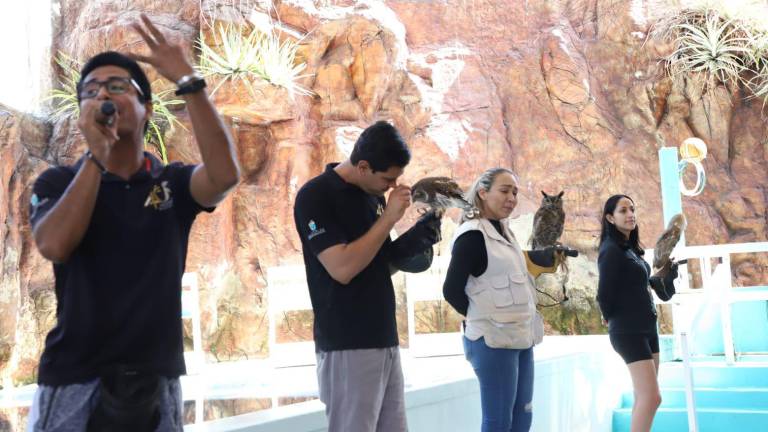 El Alcalde de Mazatlán aseguró que la gente pedía de nuevo las actividades recreativas del Acuario.