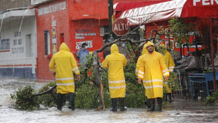 Árboles caídos, autos varados y mucha basura dejó la lluvia del miércoles, en Culiacán