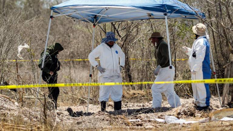 Desde hace días se llevan a cabo labores de rastreo en Mocorito.
