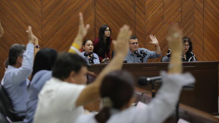 El Cabildo aprobó transferir 5.5 millones de pesos al Acuario Mazatlán, a la Operadora y Administradora de Playas, y al Rastro Municipal.