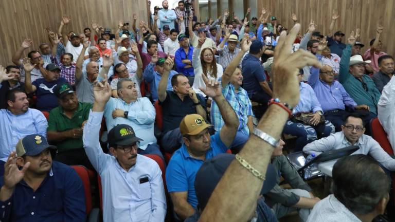 Bodegueros agrícolas de Sinaloa sostuvieron una asamblea para analizar el precio base del maíz.