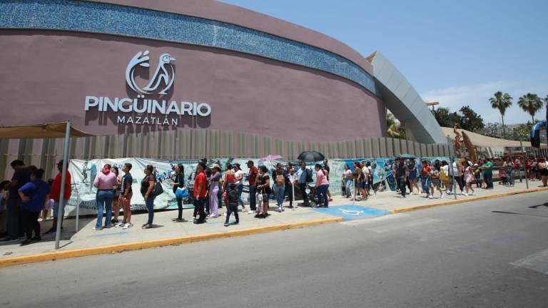 Visitantes y mazatlecos no dejaron pasar la oportunidad de acudir por última vez al Acuario Mazatlán, que está próximo a cerrar.