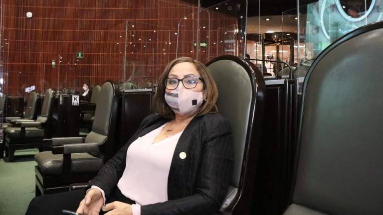 La legisladora morenista Ana Alicia Cervantes Contreras, en la Cámara de Diputados