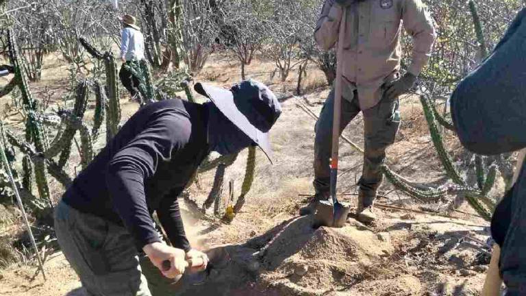 Localizan en La Paz cinco fosas clandestinas con 10 osamentas humanas.