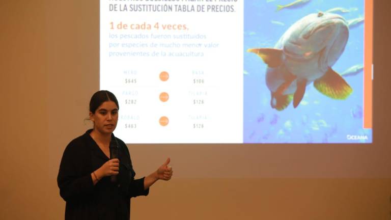 Mariana Aziz, directora de Campañas en Transparencia de Oceana, personal y socios, denuncia el engaño en la venta de pescados y productos del mar en Mazatlán.