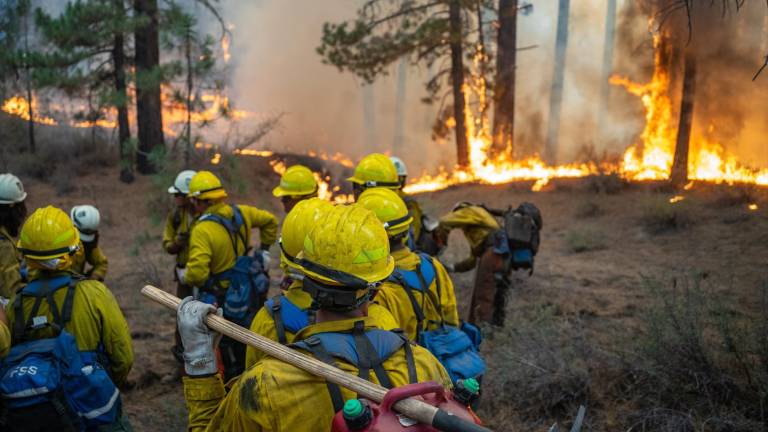 El equipo de mano de veteranos de Folsom Lake pasó el día construyendo líneas de mano, limpiando matorrales y lidiando con los puntos calientes a lo largo de la línea de mano en la División QQ en el #DixieFire.