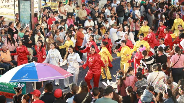 Protección Civil dio conocer que hubo 903 mil 856 asistentes en todos los eventos de Carnaval.