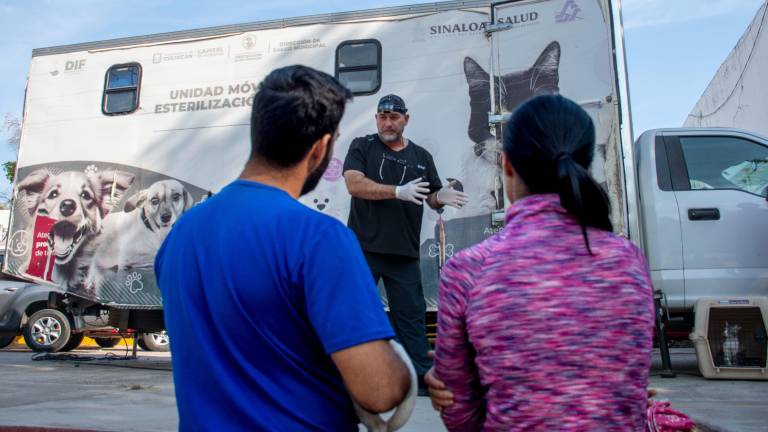 El DIF Culiacán mantiene la campaña de esterilización de mascotas.