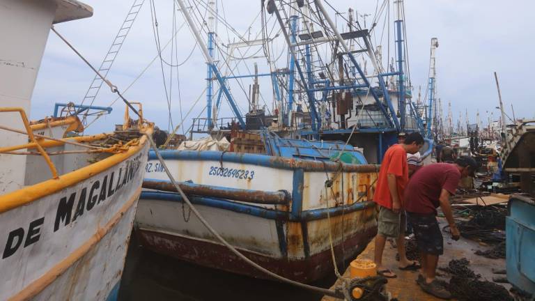 Tripulaciones de Mazatlán revisan y reparan embarcaciones mientras esperan la fecha de zarpe para la temporada de camarón.