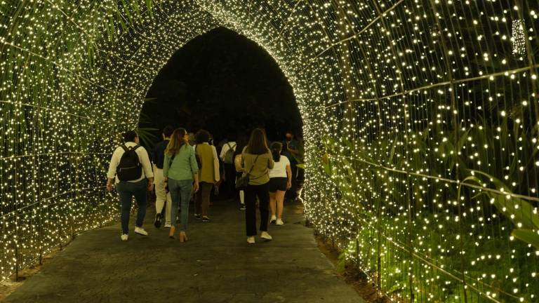 La Navidad en el Botánico, en Culiacán, atrajo a 82 mil visitantes durante la fecha en que se mantuvo la instalación.