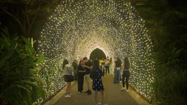 En una semana, el Jardín Botánico de Culiacán ha recibido a más de 10 mil visitantes a la instalación Un Jardín de Luz.
