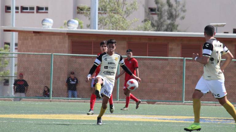 Dorados de Sinaloa buscará el pase en casa.