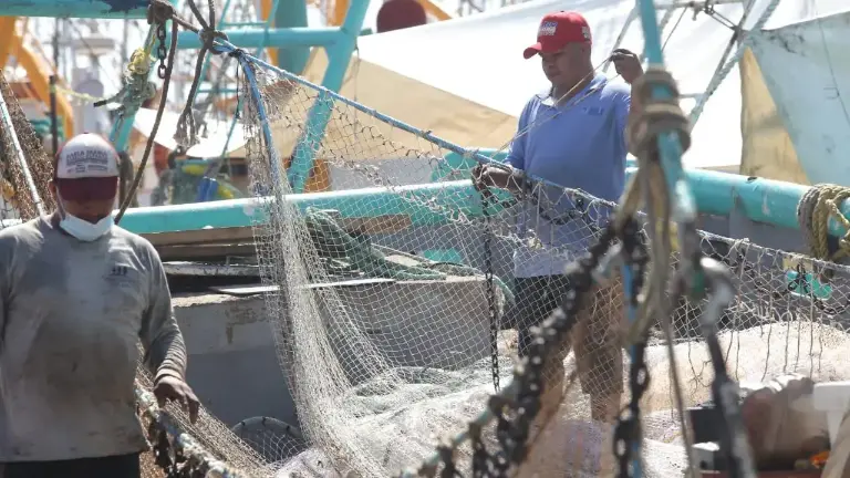 Lizárraga Manjarrez puntualizó que México necesita mejores condiciones de producción.