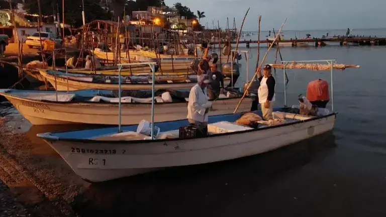 Abre Pesca ventanillas para programas 2026; registro será del 19 al 30 de enero