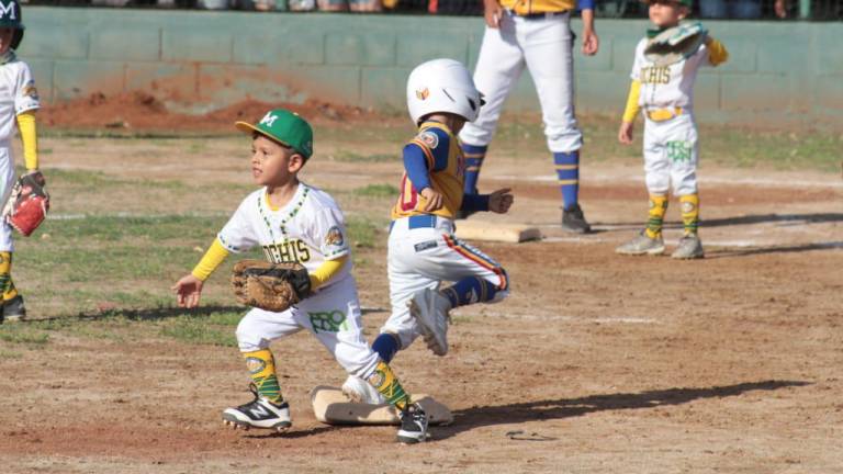 Liga Ahome Municipal se proclama campeón del Nacional de Beisbol Pañalitos
