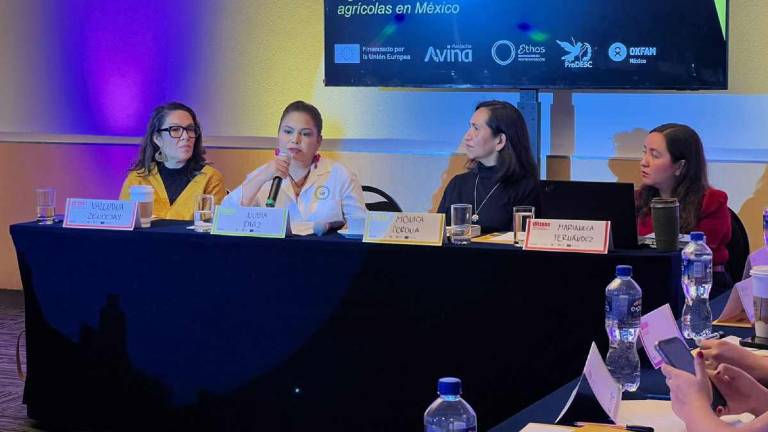 Jornaleras agrícolas de México reclaman contratos formales, seguridad social y medidas de protección en sus centros de trabajo.