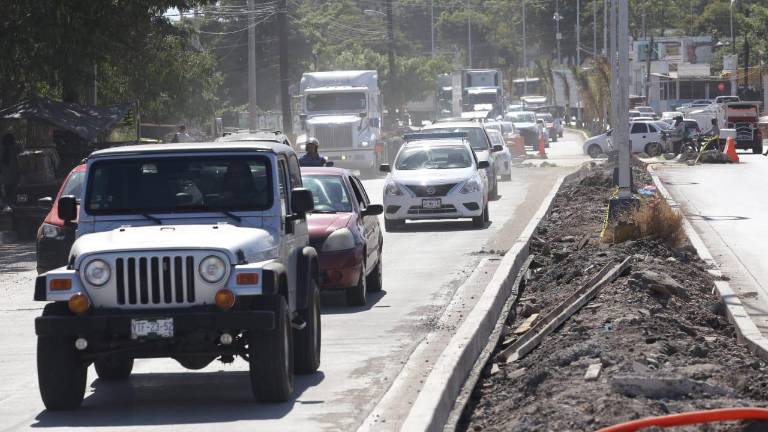 En el camellón central de la avenida se ha colocado palmeras, cactus, bugambilias, césped, piedras y piedras pequeñas de colores, además de que se cuenta con todo el alumbrado público nuevo.