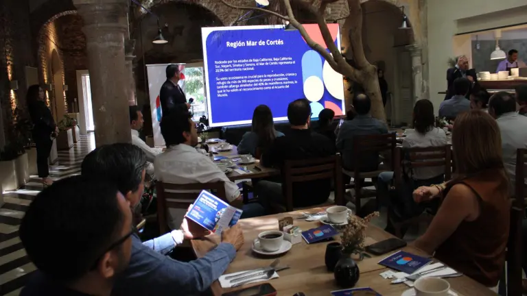 Conferencia del Foro Talks del Foro Mar de Cortés en Culiacán sobre las nuevas formas de competencia empresarial.