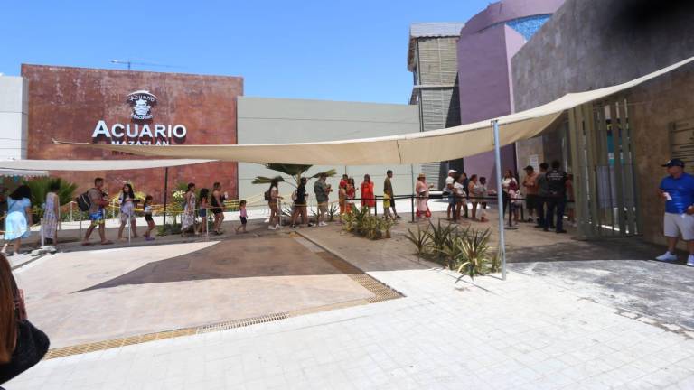 Este lunes será el último día que estará abierto al público el Acuario Mazatlán, el martes no abrirá ya sus puertas al público.