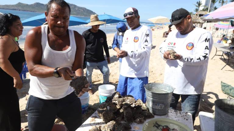 Pescadores de Mazatlán buscan sacar del olvido la actividad de la pesca artesanal.