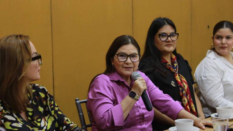 La Senadora por Morena Imelda Castro Castro admite que sí ha habido impacto en encuestas, pero se han recuperado.