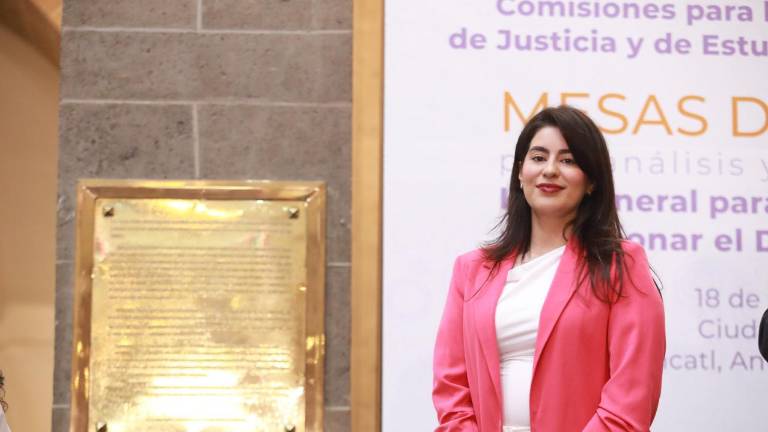 La Senadora Ana Francis Chiquete Elizalde habla de la iniciativa de reforma penal para atender el feminicidio en México.
