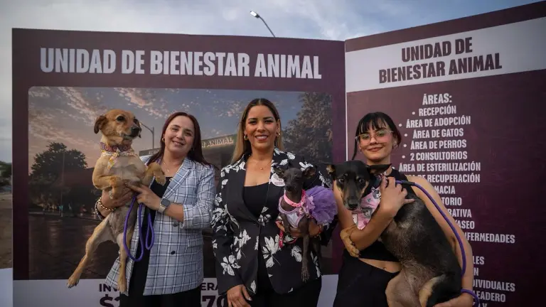 El proyecto contempla una inversión de 21 millones 153 mil 570.88 de pesos.