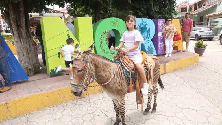 El Tigre es un burrito que nació de la cruza de una burra y una cebra macho.