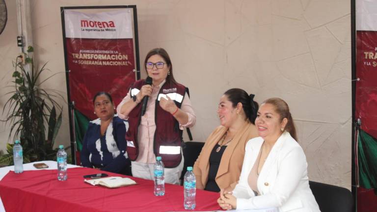 La Senadora con licencia Imelda Castro Castro afirma que el Gobierno no está con los brazos cruzados ante la violencia que se presenta en el sur de Sinaloa.
