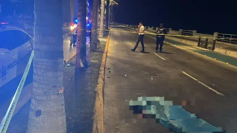 Un motociclista murió la madrugada de este jueves tras chocar con una palmera del Paseo Claussen.