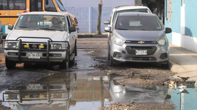 Olores fétidos, mosquitos y basura se acumula en los charcos de aguas negras.