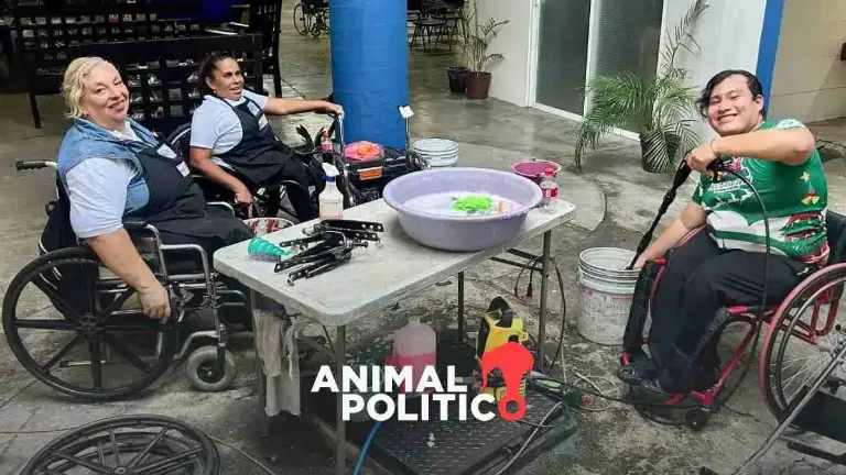 La asociación ALEM nació en 2005 en Cuernavaca, Morelos, y actualmente tiene presencia también en Guerrero, Tlaxcala, Puebla y Veracruz.