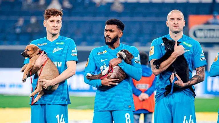 Los jugadores del Zenit promueven la adopción canina.