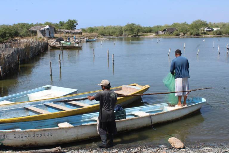 Advierten ‘zona de desastre’ por nula producción de camarón en el sur de Sinaloa