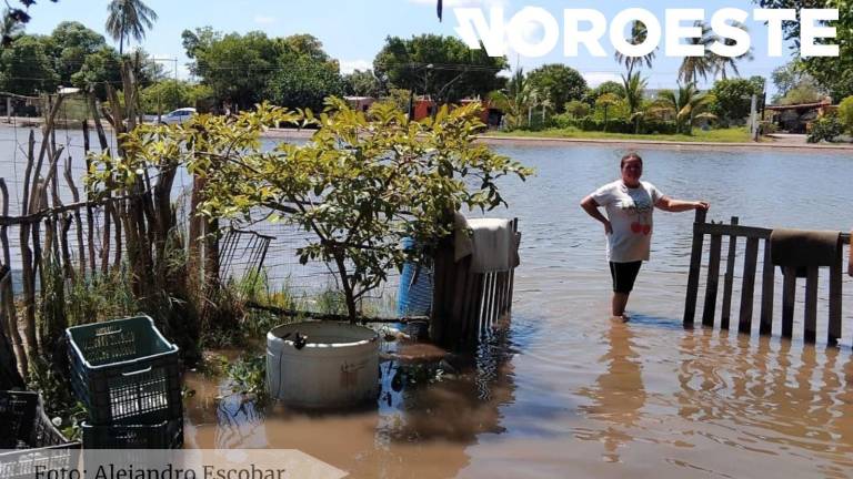 Las lluvias recientes y el aumento en la marea ocasionó que varias viviendas en Las Aguamitas, Navolato, se inundaran.