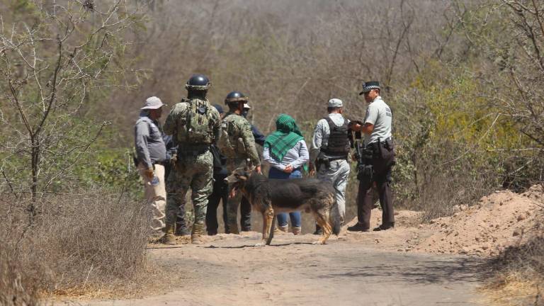 La búsqueda que se llevó a cabo este 10 de mayo forma parte de una jornada de rastreo programada del 8 al 12 de mayo.