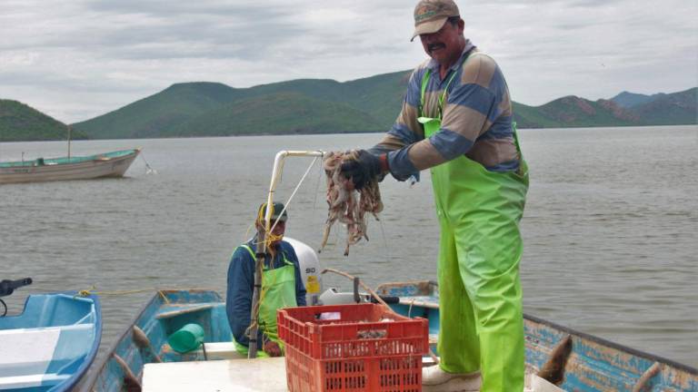 Pescadores ribereños de Guasave hacen ‘changuitos’ por una temporada buena