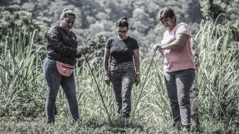 Madre busca a hija en Rancho Cali, el infierno de Los Zetas en Veracruz
