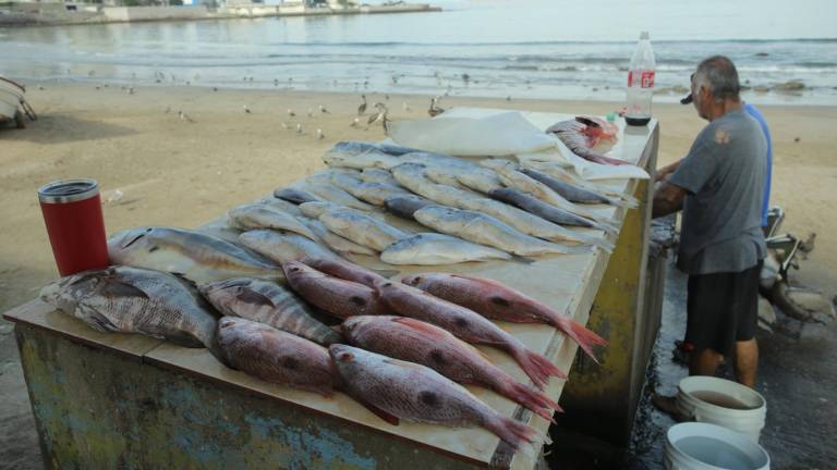 Consumidores locales, y algunos visitantes, han permitido un repunte en la venta de pescado fresco en la Playa Norte de Mazatlán.