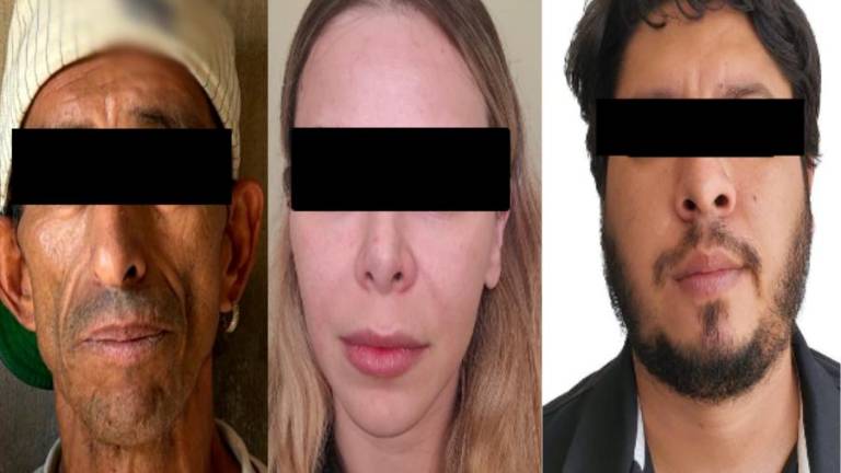 Autoridades federales mantienen bajo resguardo los inmuebles intervenidos durante los operativos.