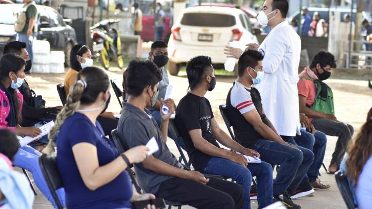 Los municipios con más casos activos son Culiacán con 142, Ahome con 59, Salvador Alvarado 32, Mazatlán 29, Guasave 23, y 16 de Badiraguato; el resto permanece por debajo de 10 pacientes simultáneos.